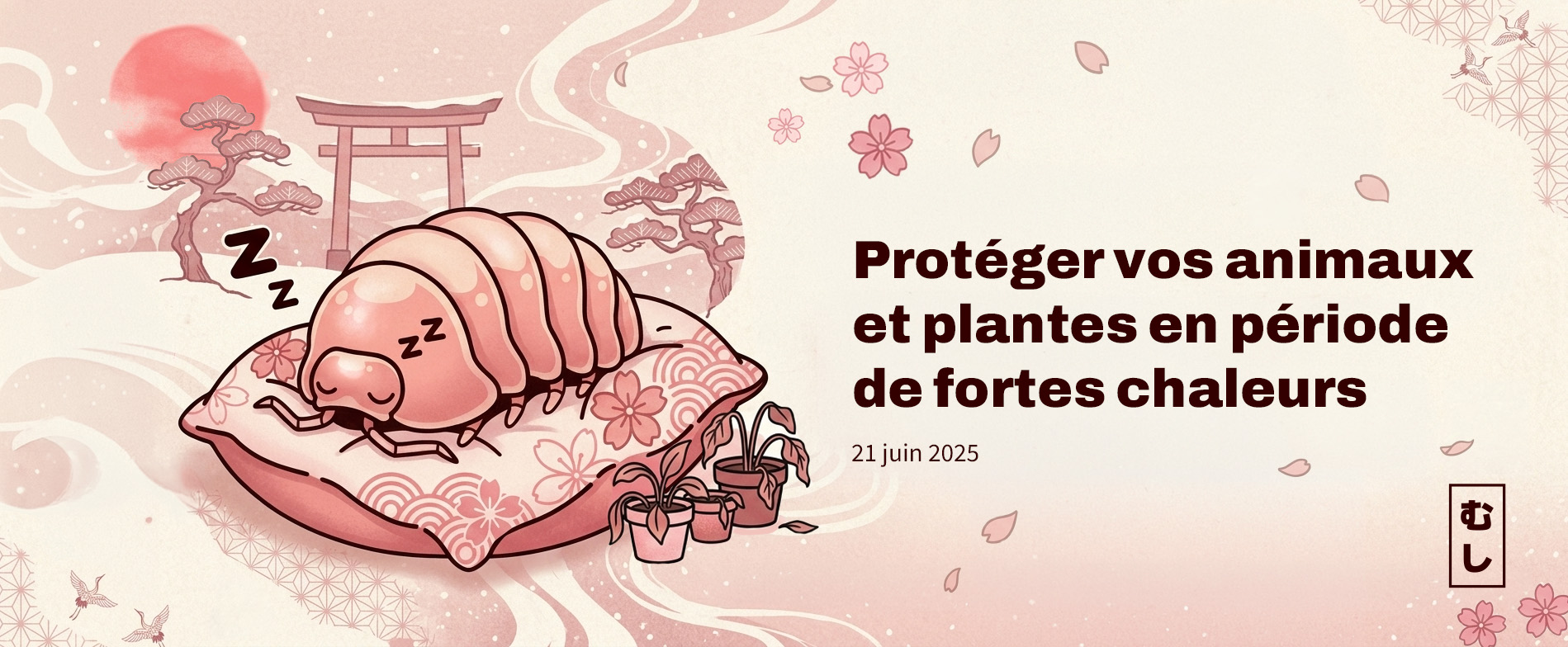 Protéger ses animaux et ses plantes en période de canicule