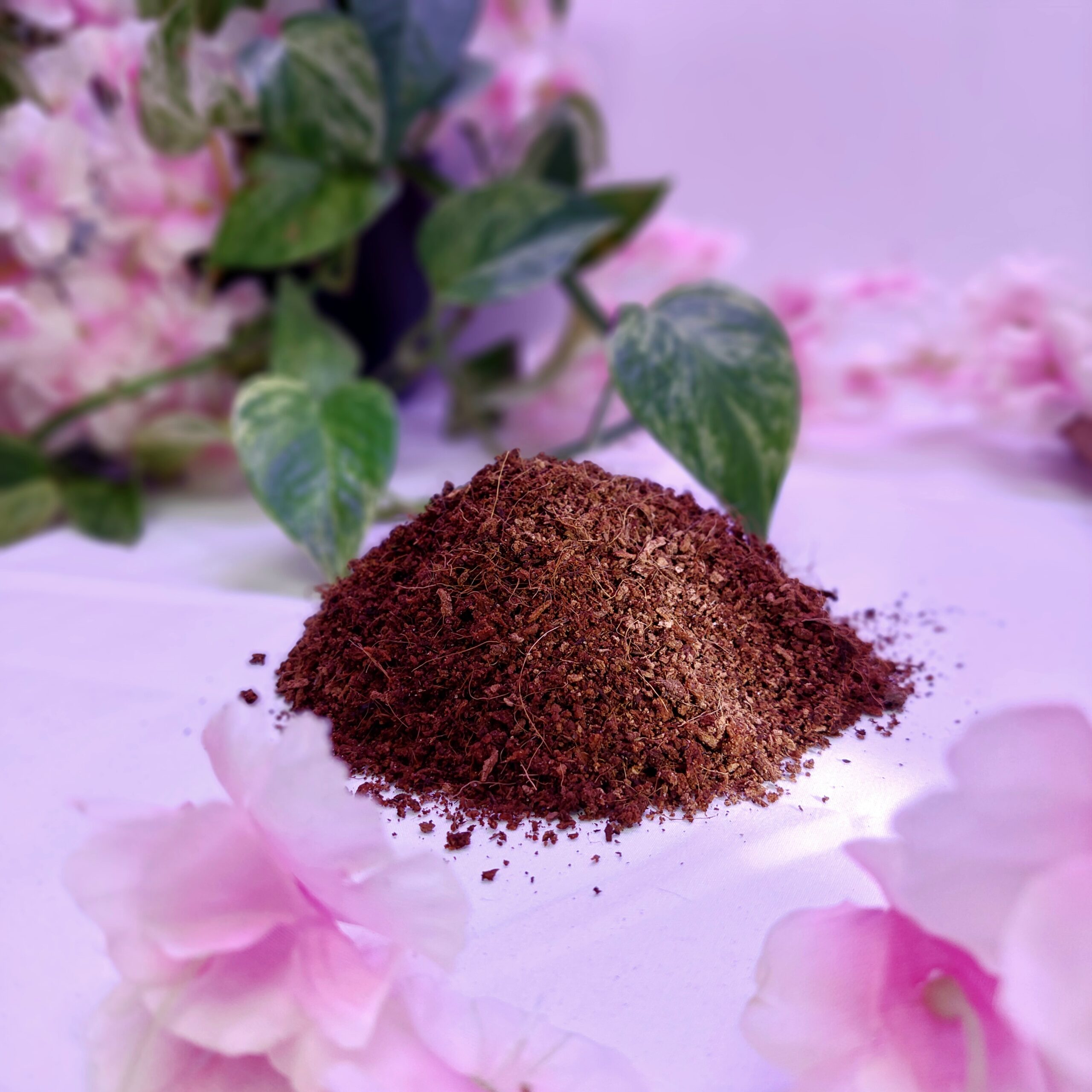 Brique coco