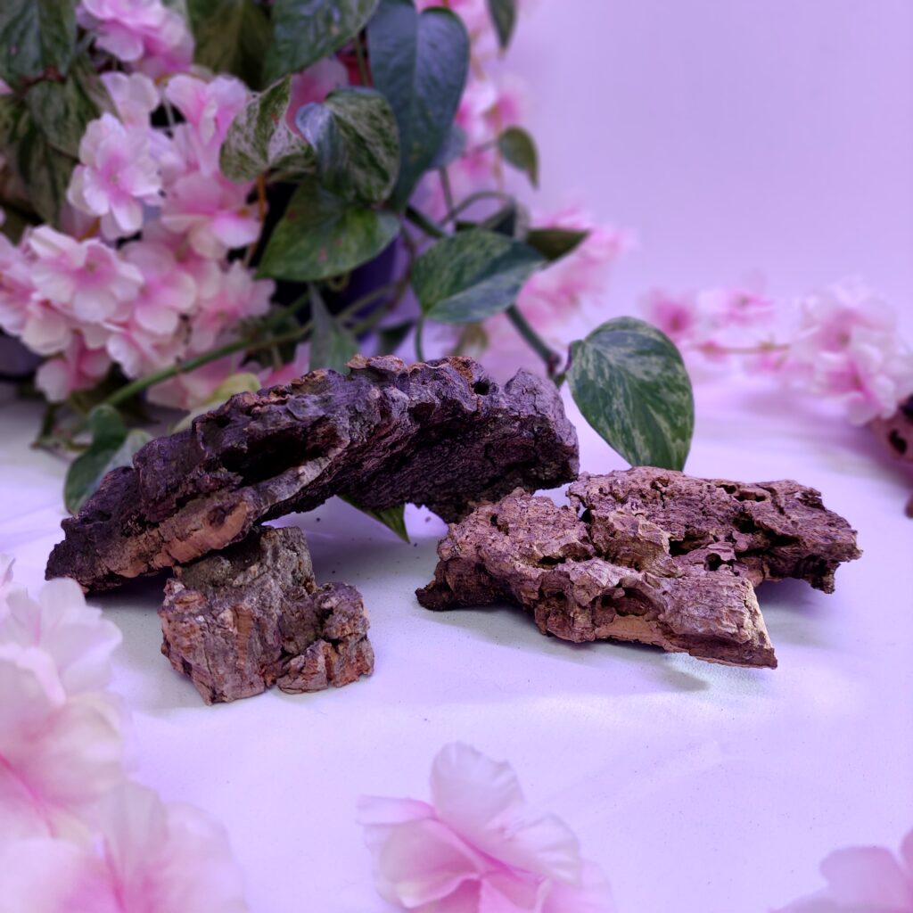 Lot de cachettes liège
