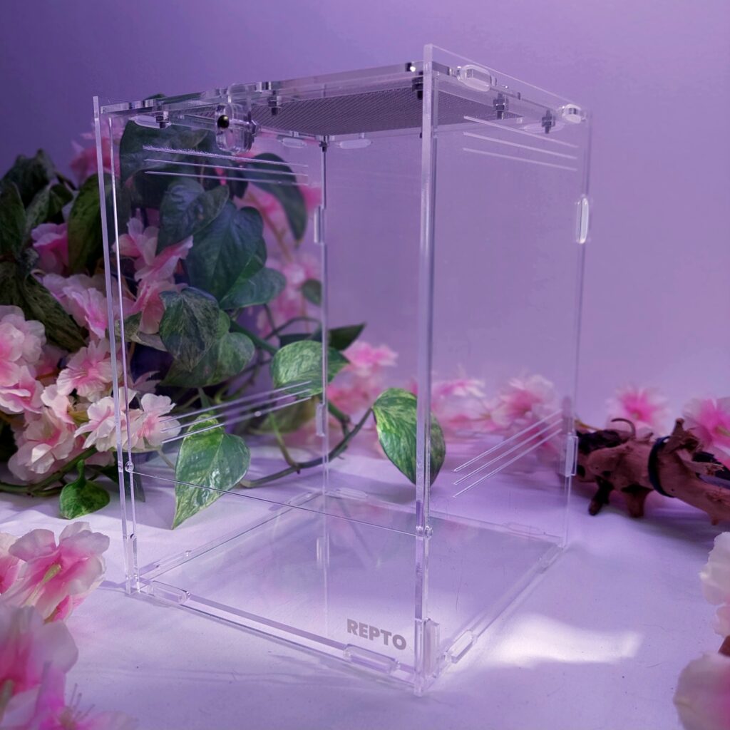 Terrarium en acrylique REPTO Terra Clear