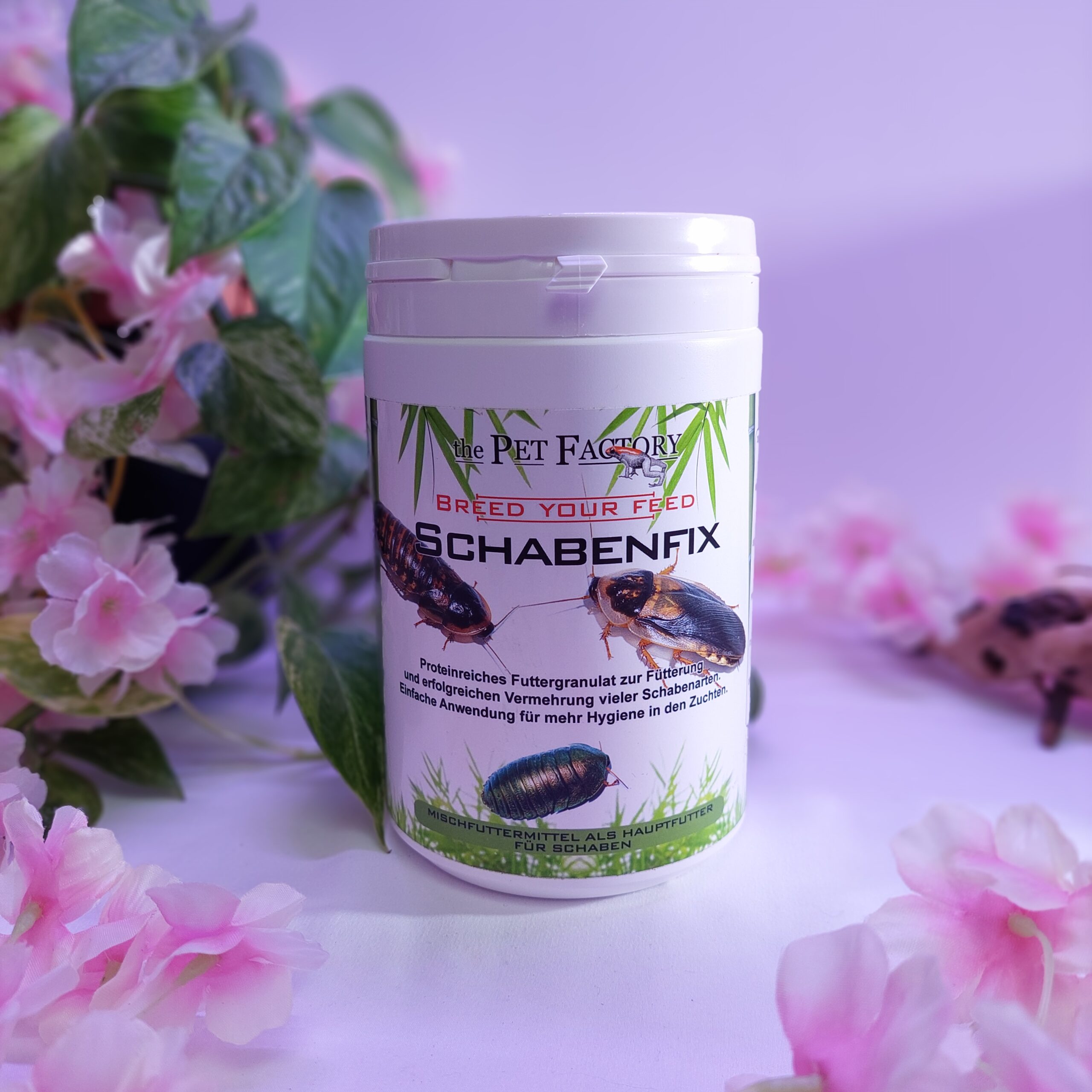 Alimentation pour blattes Schabenfix