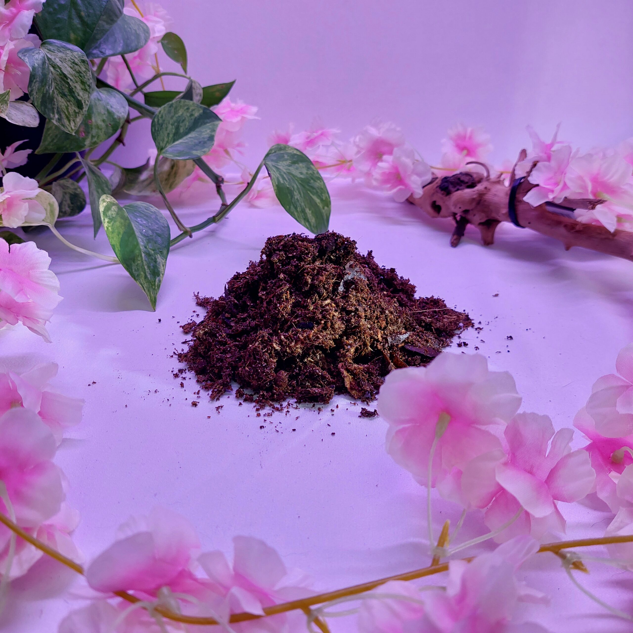 Substrat premium Mushi