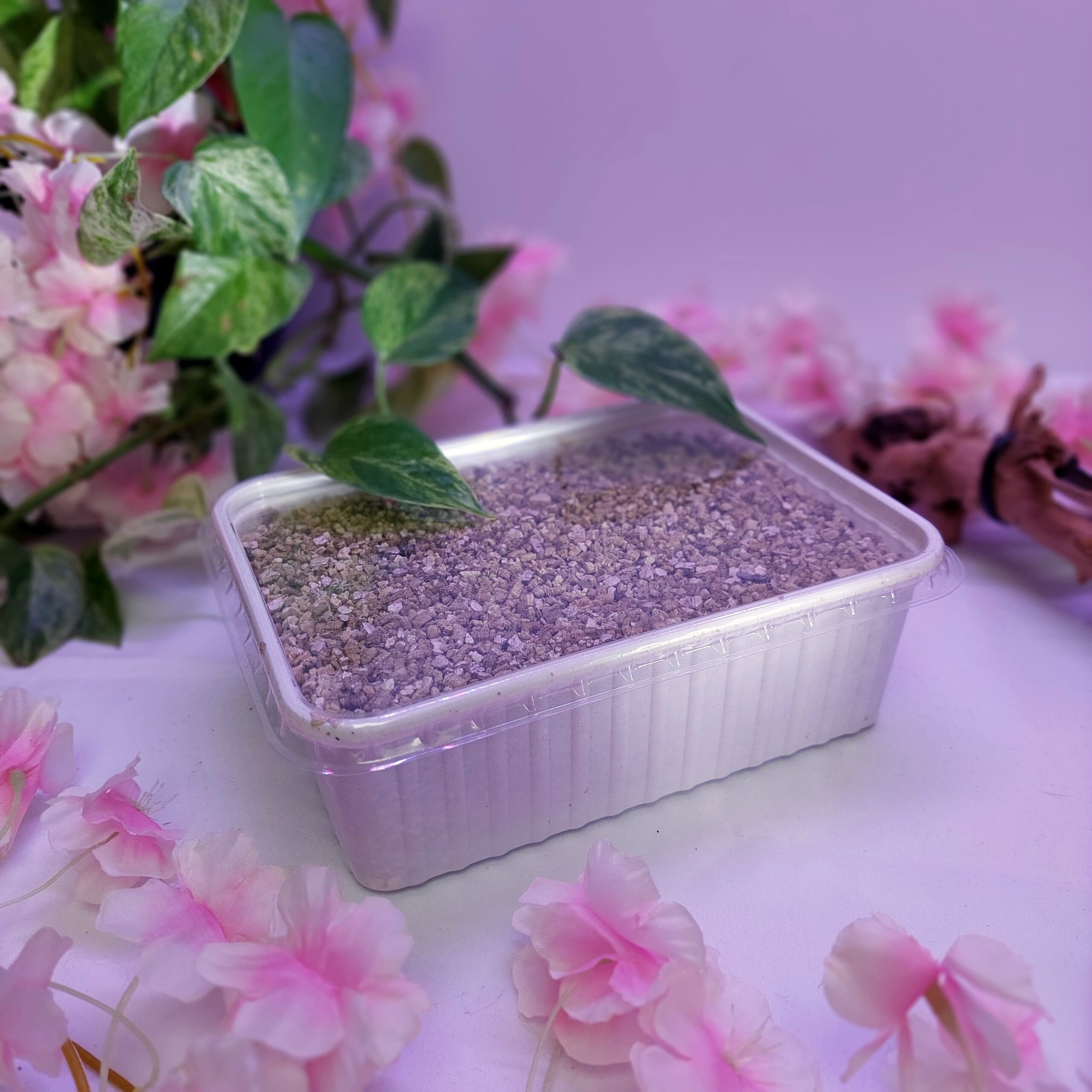 Vermiculite – Image 2
