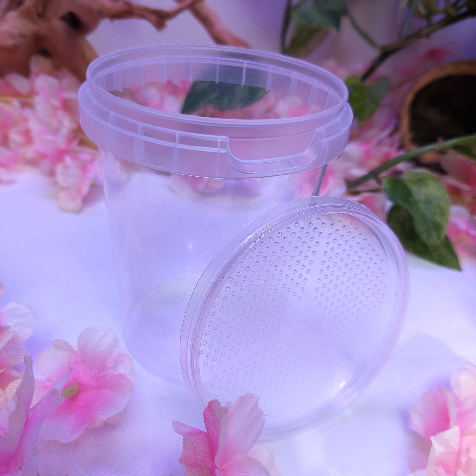 Boîte d'élevage pour drosophiles