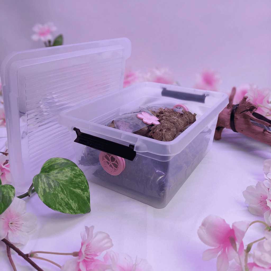 Kit d'élevage Mushi