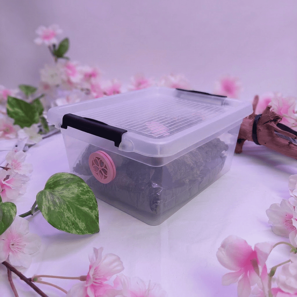 Kit d'élevage Mushi – Image 2