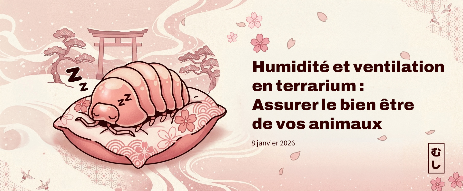 Humidité et ventilation en terrarium - assurer le bien-être de vos animaux