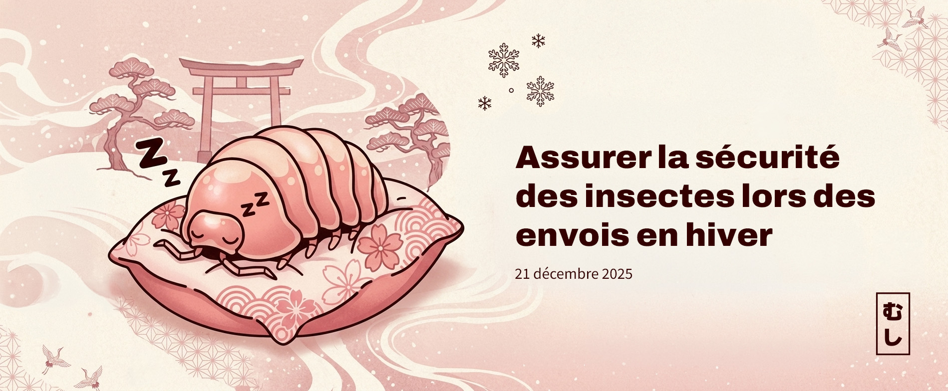 Assurer la sécurité des insectes lors des envois en hiver